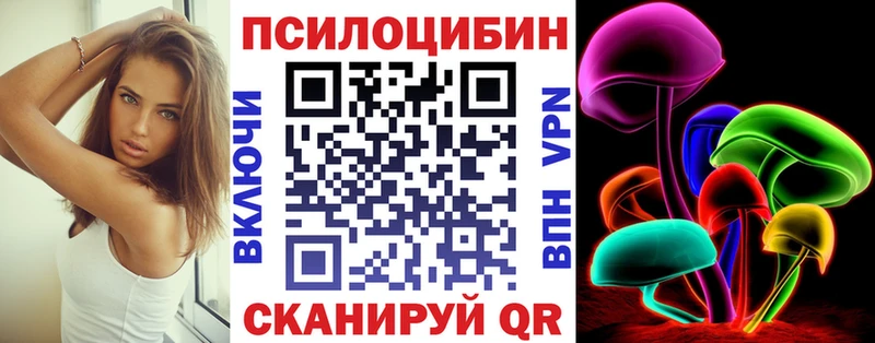 hydra сайт Дмитровск Псилоцибиновые грибы Psilocybine cubensis